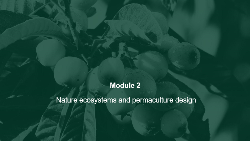 Modulo 2 Ecosistemi naturali e progettazione della permacultura