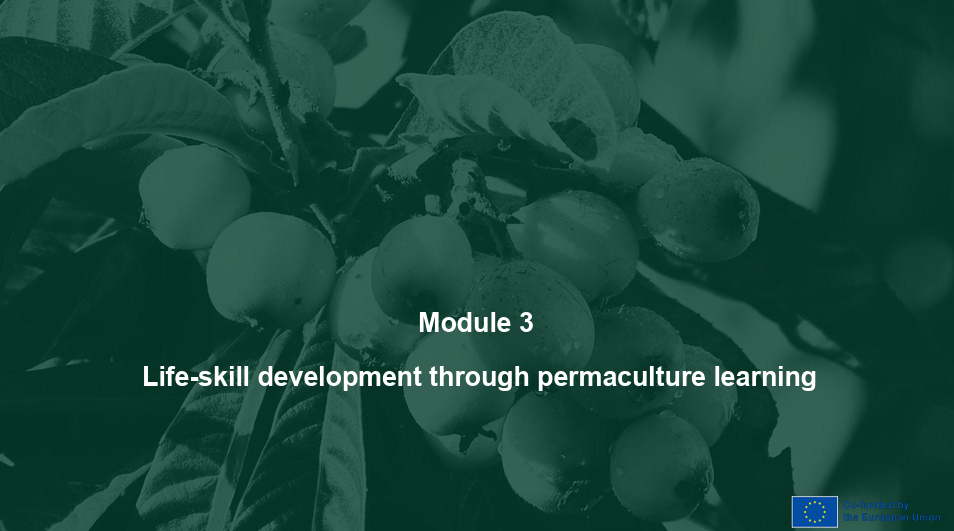 Módulo 3 Desarrollo de habilidades para la vida mediante el aprendizaje de la Permacultura