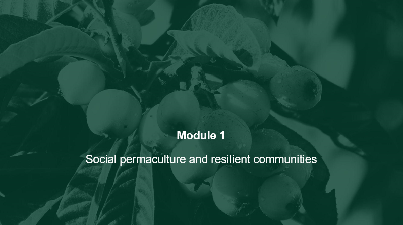 Modulo 1 Permacultura sociale e comunità resilienti
