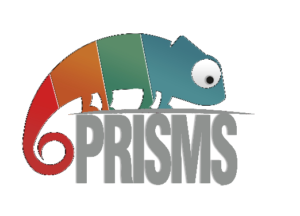 Read more about the article Prisms