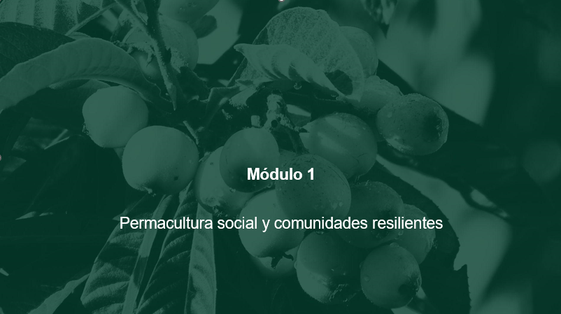 Module 1 Social permaculture and resilient communities